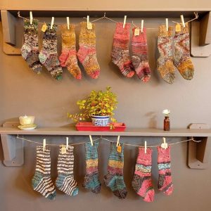 Zee Bird Socks